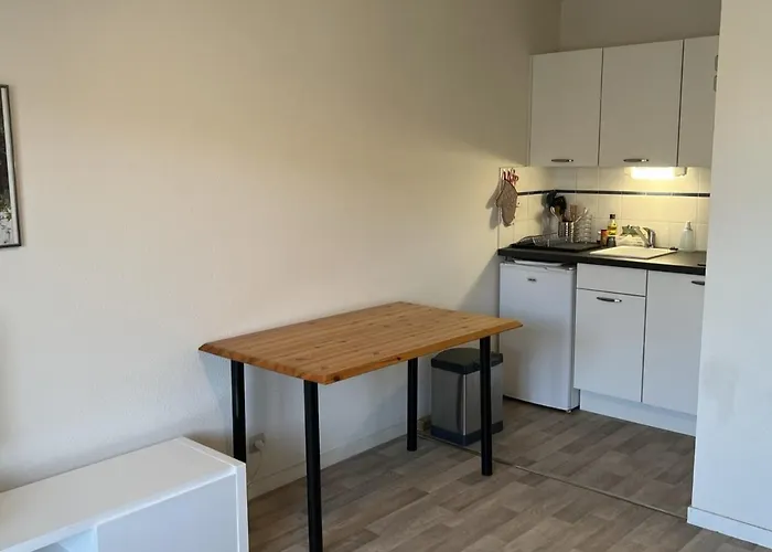 2 Pieces Avec Balcon Et Acces Direct A Cabourg, Animaux Admis - Fr-1-487-352 * קאבורג