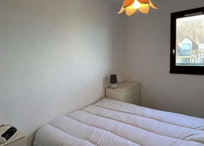 2 Pièces Avec Balcon Et Accès Direct à Cabourg, Animaux Admis - Fr-1-487-352